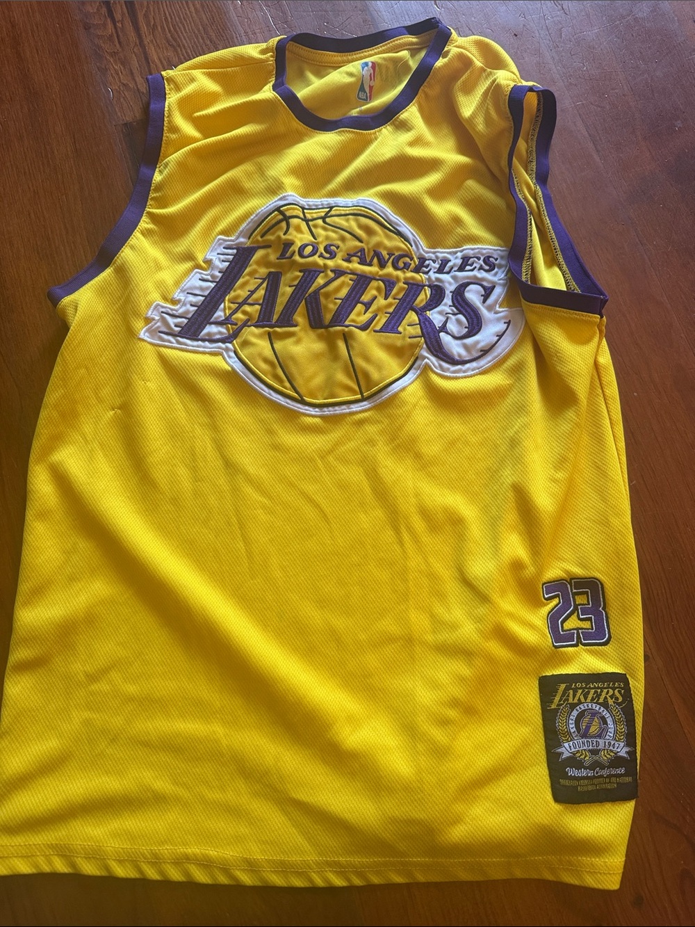 NBA Los Angeles Lakers Yellow and Purple Team Jersey #23 LeBron James